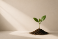 PLANT A SEED